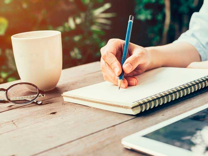 scientific writting guide
